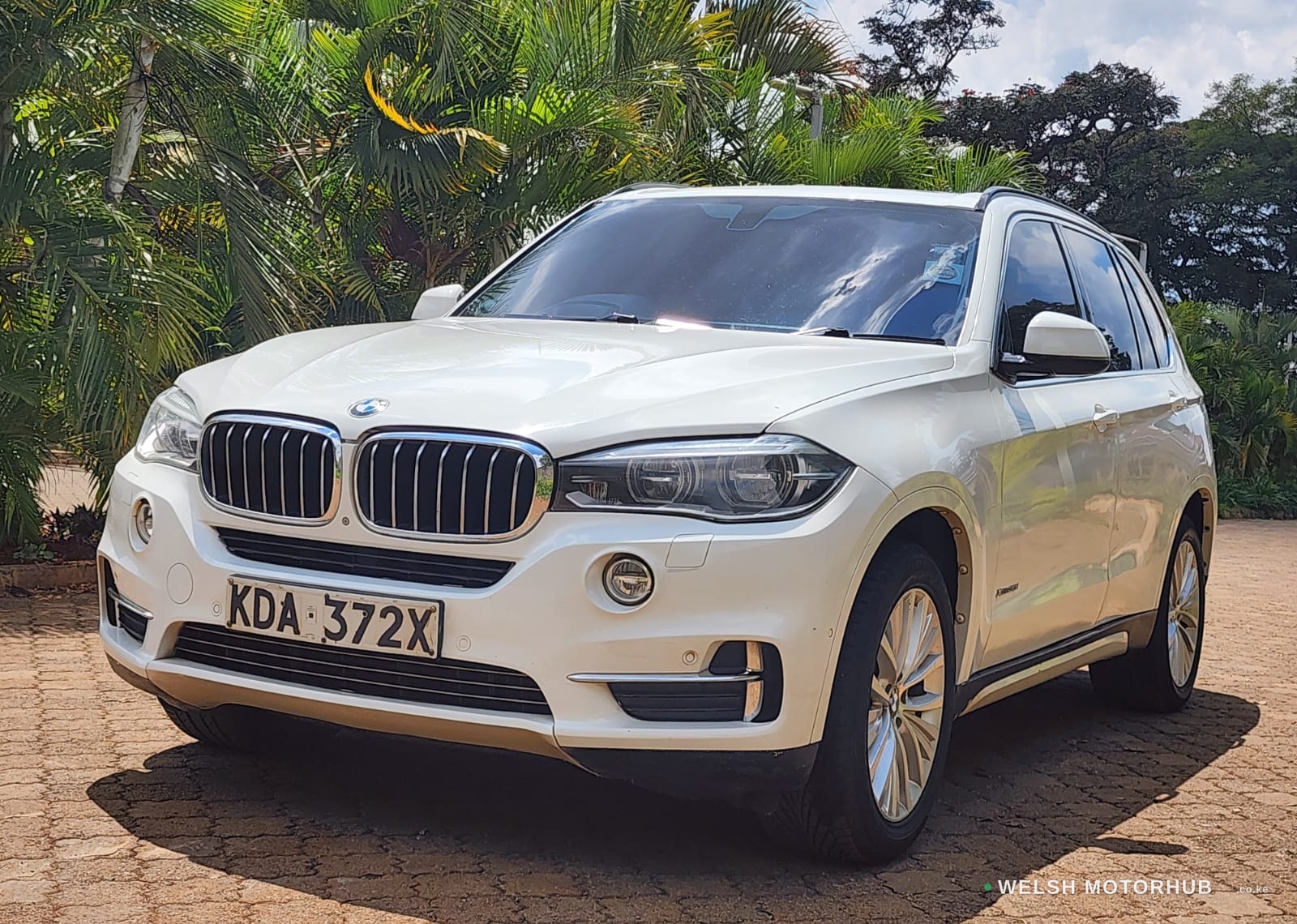 2017 BMW X5 image 5