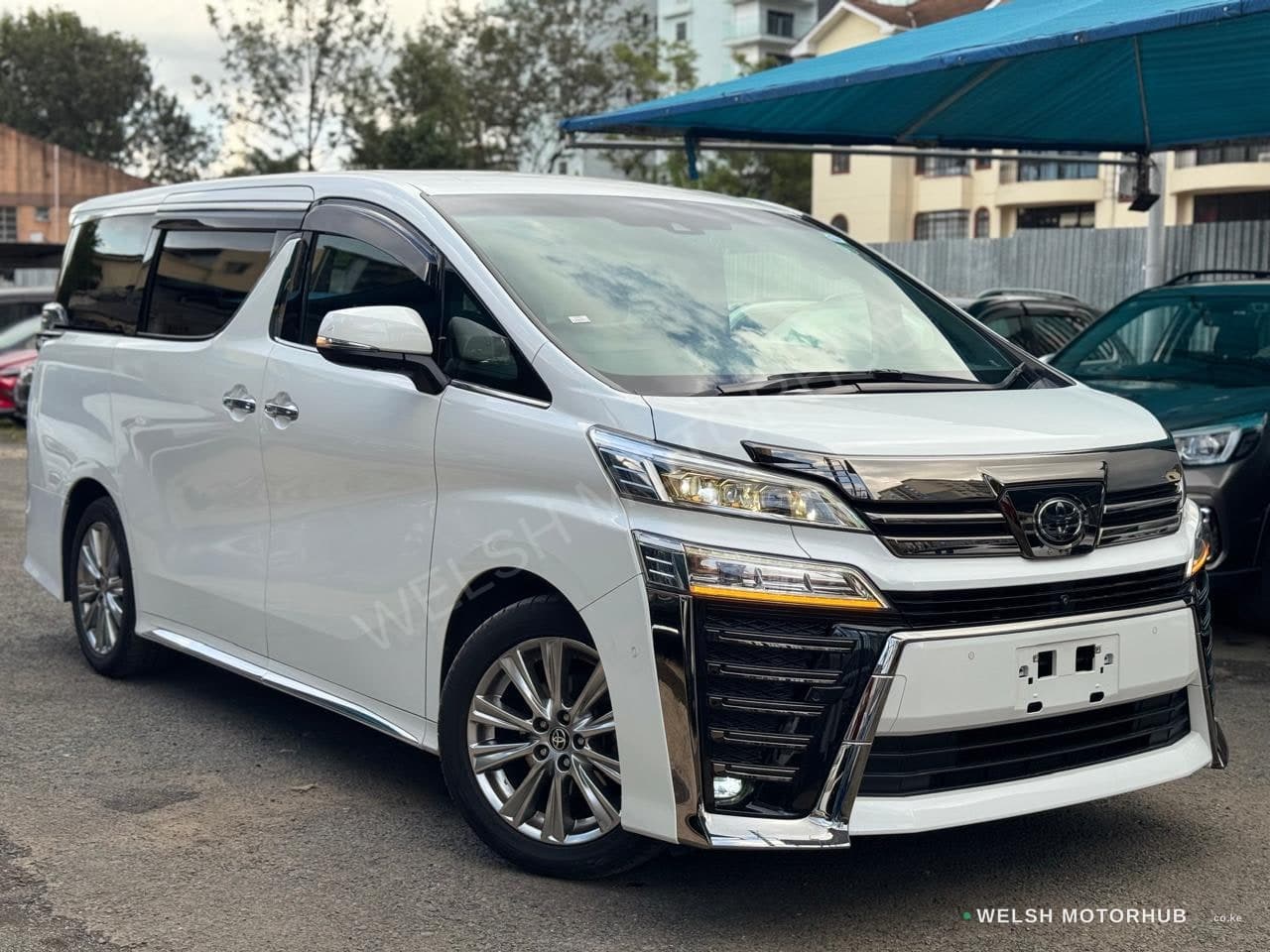 Toyota Vellfire ( Golden Eye )