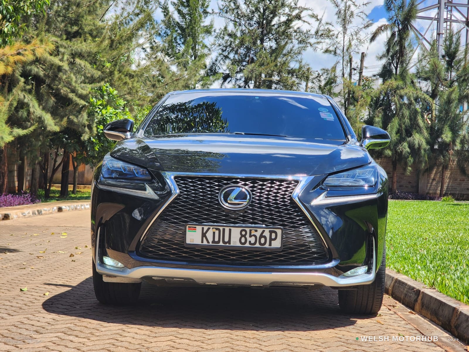 2014 Lexus RX200T 2L Petrol SUV, photo 2