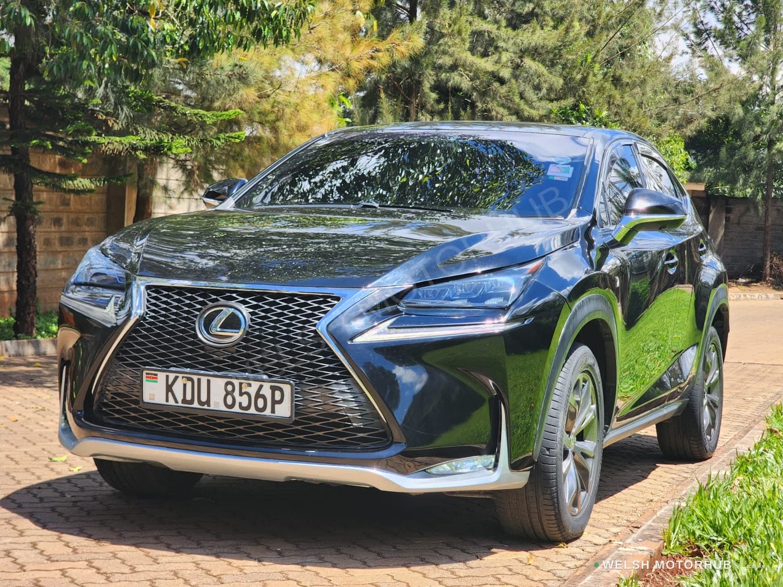 Lexus RX200T