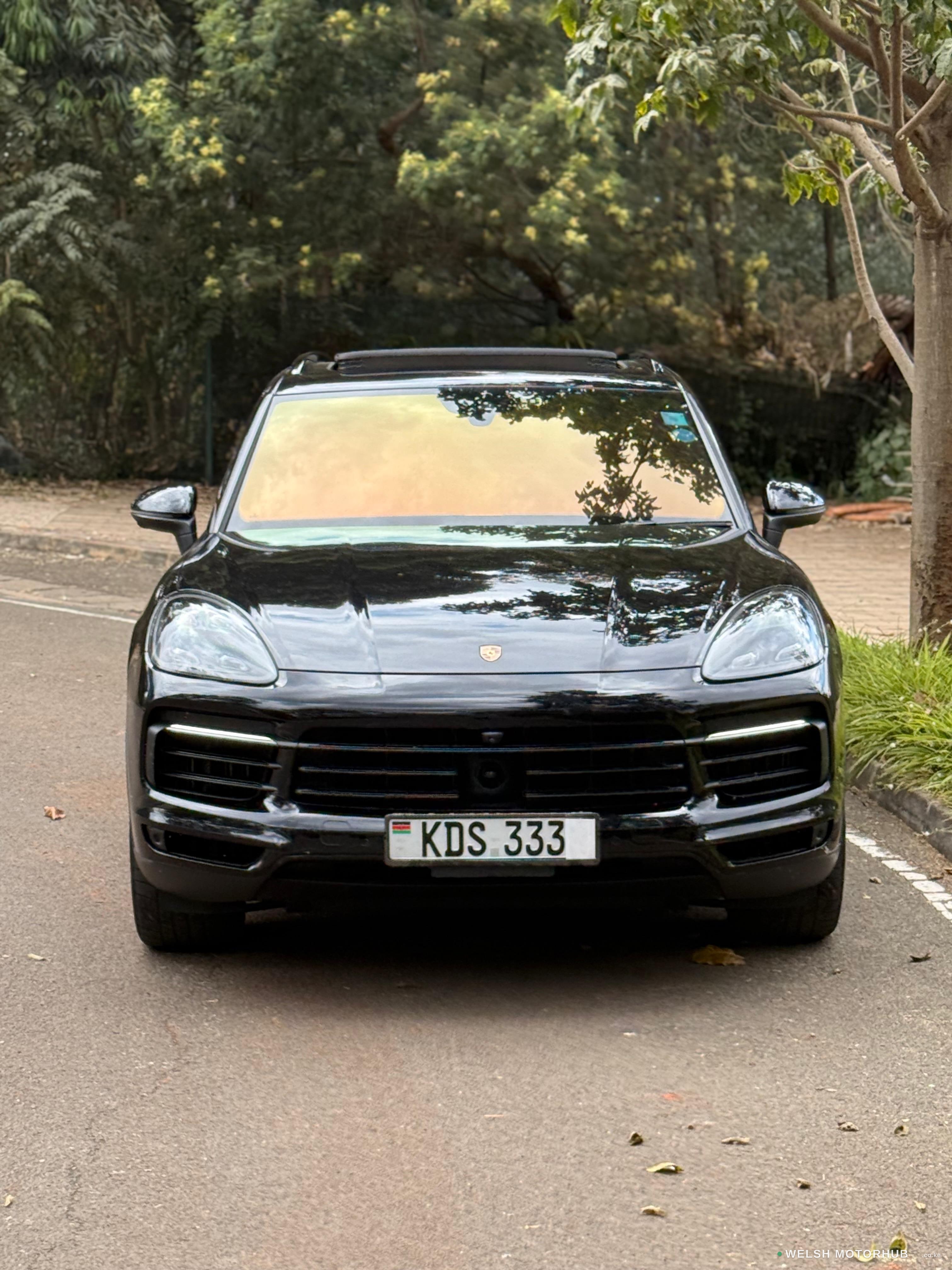 2019 Porsche Cayenne 2.9L Petrol SUV, photo 2