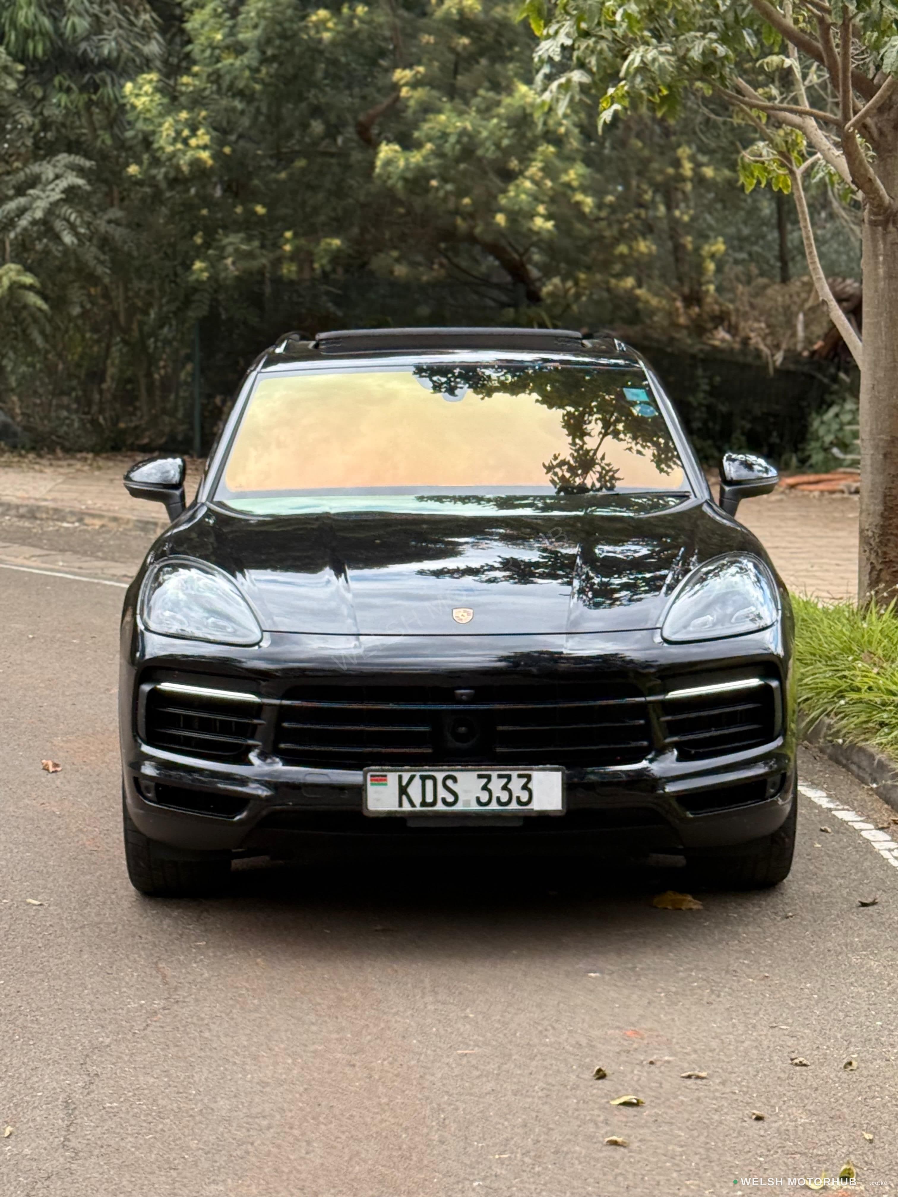 2019 Porsche Cayenne 2.9L Petrol SUV, photo 2