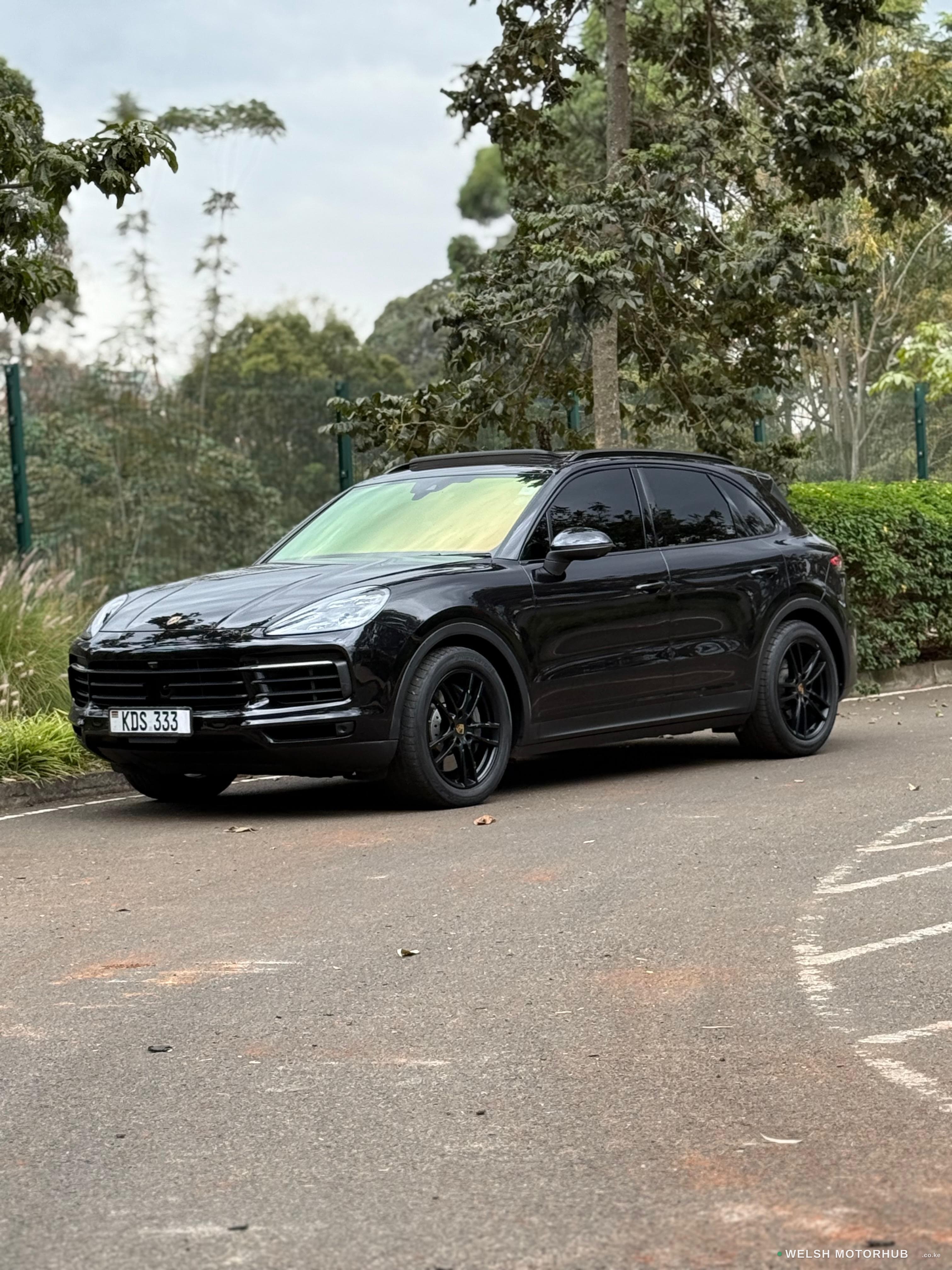 2019 Porsche Cayenne 2.9L Petrol SUV, photo 3