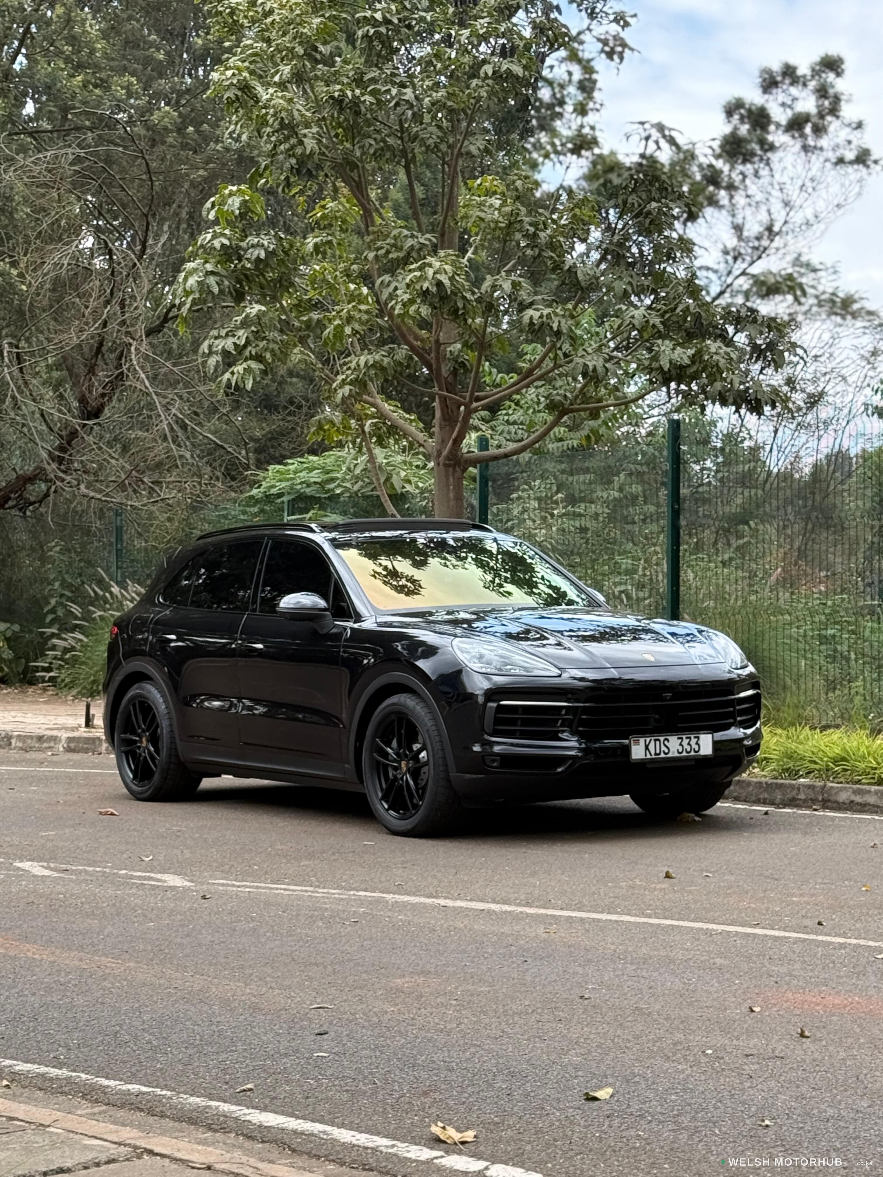 2019 Porsche Cayenne 2.9L Petrol SUV, photo 4