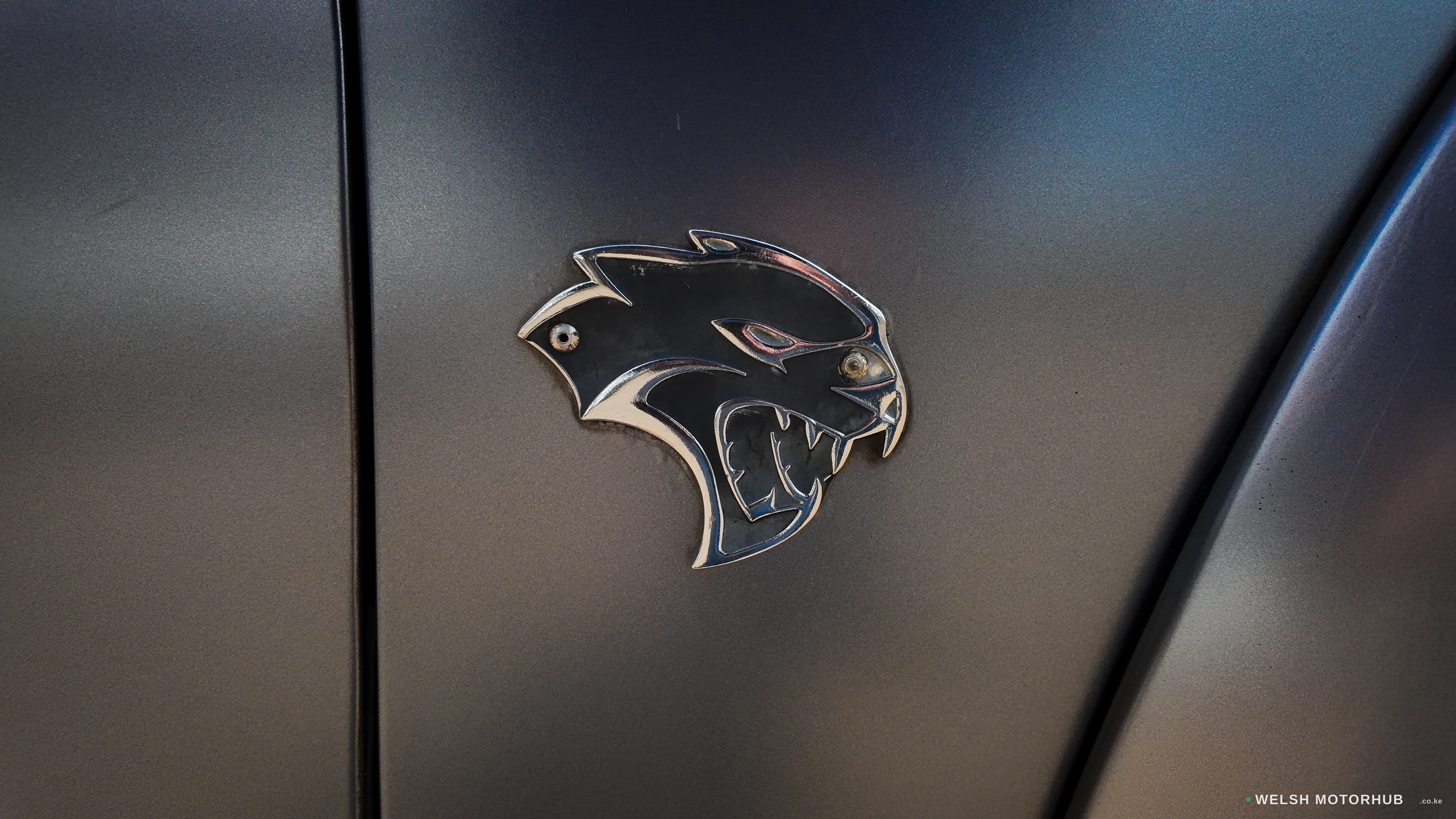 2017 Dodge Charger SXT 3.6L Petrol Sedan, photo 13