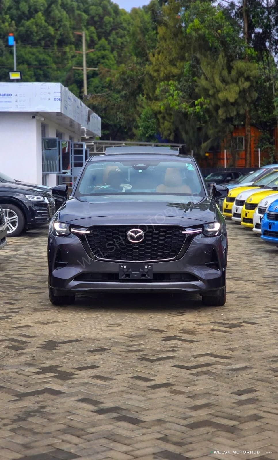 Mazda CX-60 ( XDL )