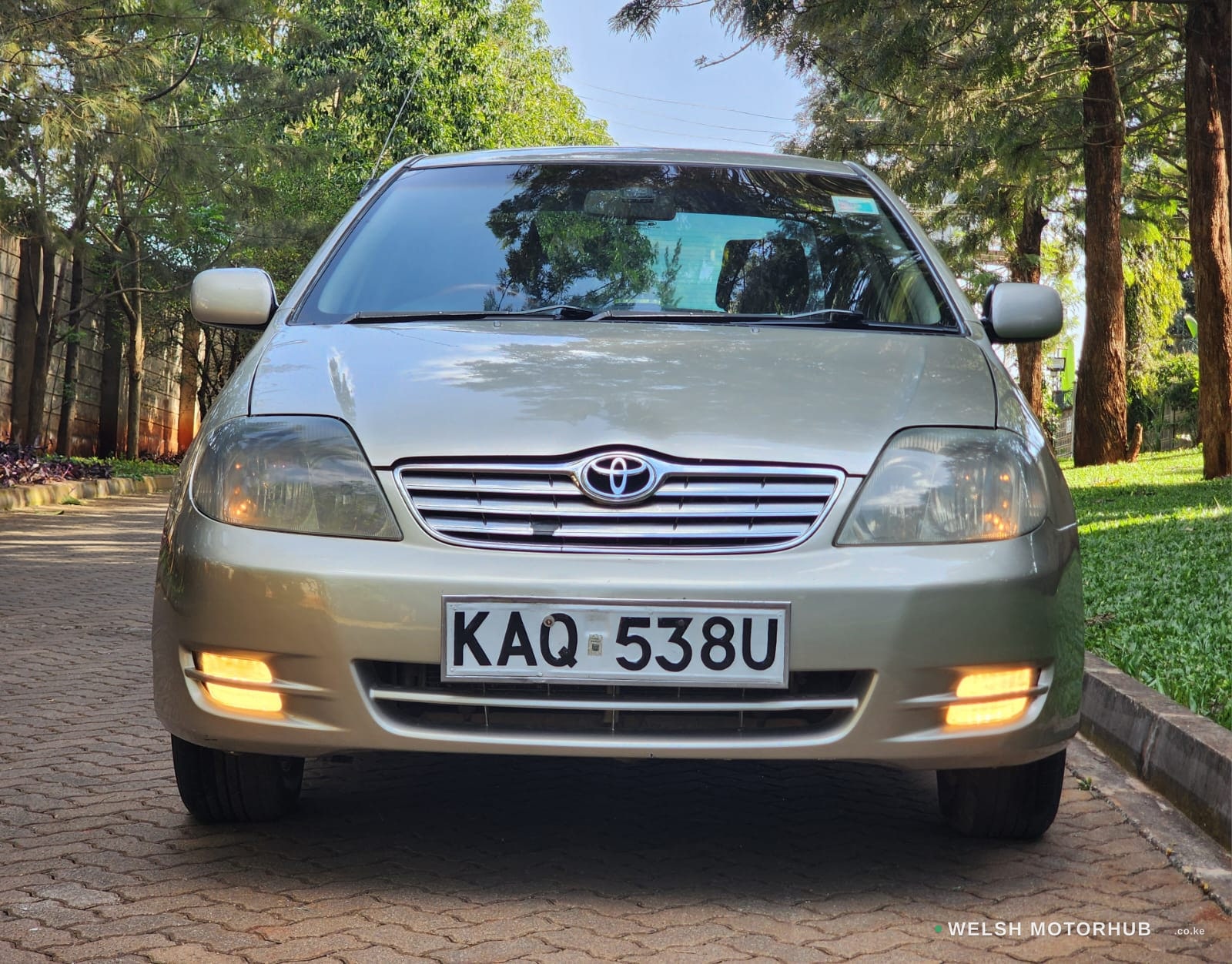 Toyota NZE