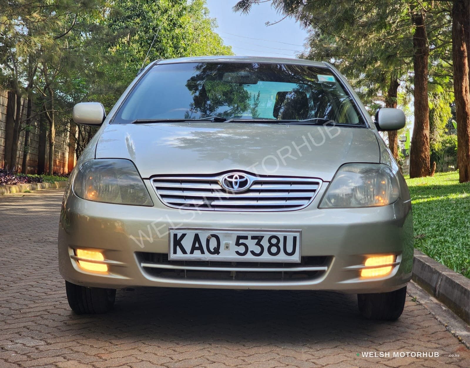 Toyota NZE