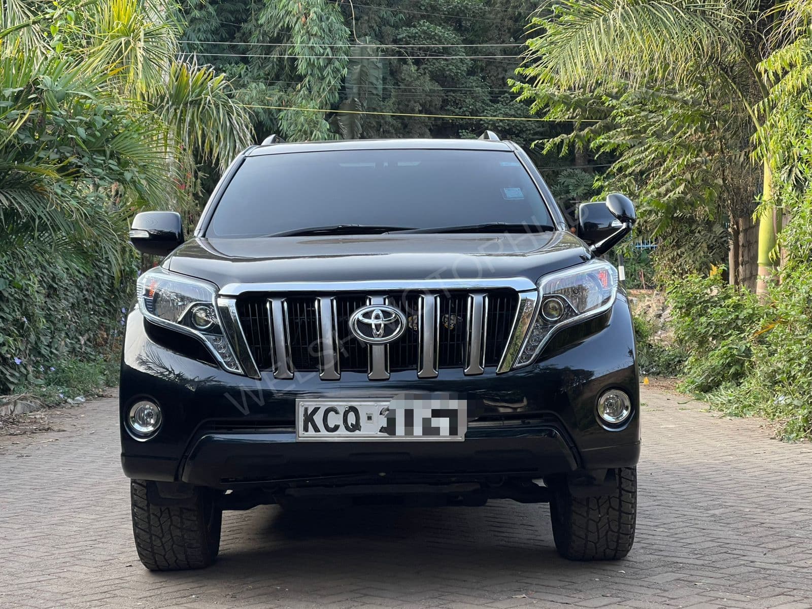 2011 Toyota Land Cruiser