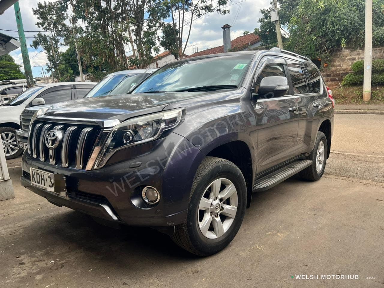 Toyota Prado ( TX )